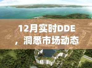 投資先機(jī)