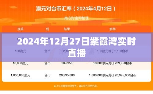 紫霞灣直播盛典，揭秘2024年12月27日盛況