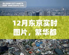 東京冬季繁華實時圖片欣賞