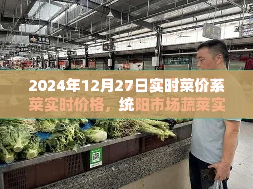 2024年菜價(jià)實(shí)時(shí)更新系統(tǒng)，最新菜價(jià)查詢