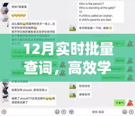 實時批量查詞，高效學(xué)習(xí)新途徑揭秘