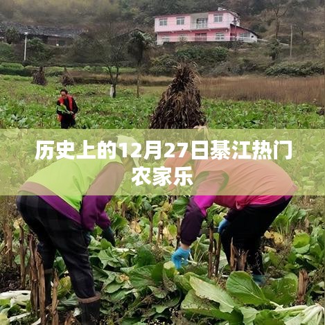 綦江熱門農(nóng)家樂歷史回顧，12月27日這一天