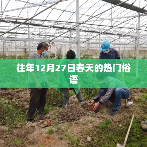 往年12月27日春天的俗語熱點