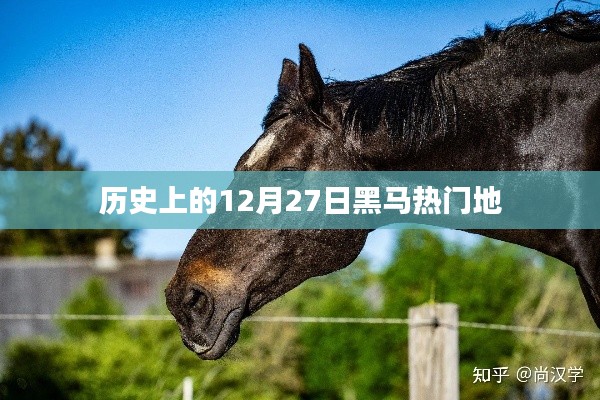 歷史上的黑馬熱門地，揭秘十二月二十七日的秘密