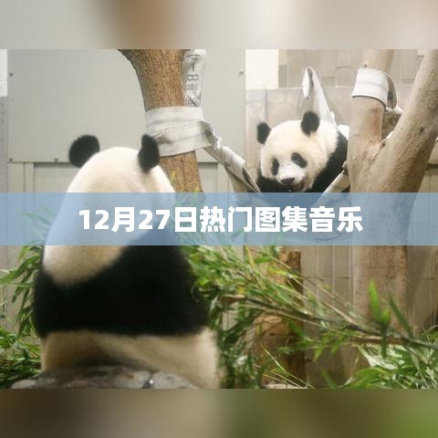 12月27日精選圖集音樂盤點