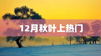 秋葉盛景，12月成熱門焦點(diǎn)