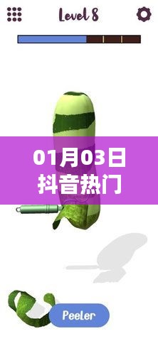 抖音熱門歌曲二手玫瑰，揭秘一月三日最炫旋律