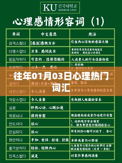 心理熱門詞匯盤點，歷年趨勢解析