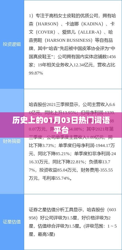 歷史上的熱門詞語(yǔ)平臺(tái)，一月三日回顧