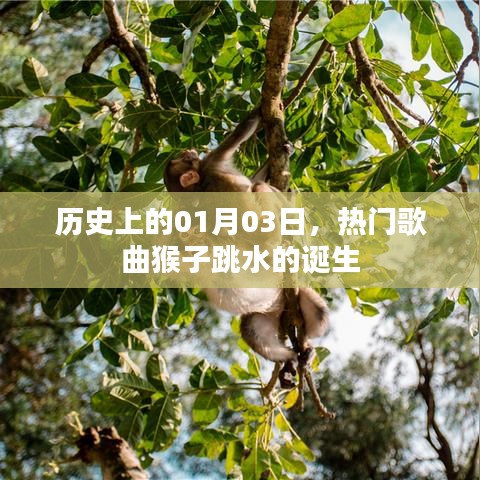熱門歌曲猴子跳水誕生記，歷史時刻回顧