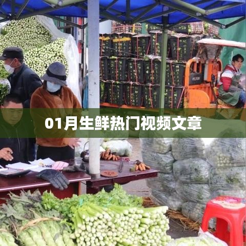 生鮮熱門視頻盤點(diǎn)，一月精選文章