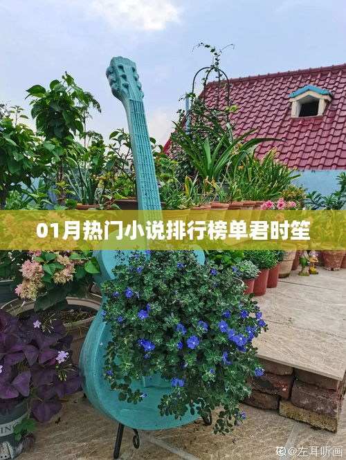 熱門小說排行榜，君時笙獨占鰲頭
