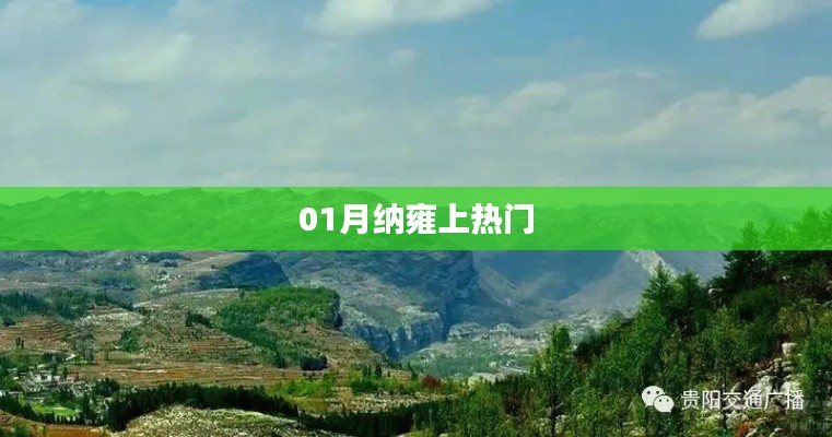 納雍熱點聚焦，一月份熱議話題揭秘