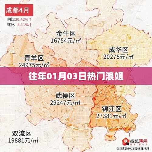 浪姐歷年元旦熱門回顧，精彩瞬間一網(wǎng)打盡！