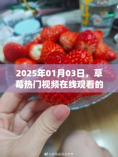 草莓盛宴，熱門(mén)視頻在線觀看，2025年不容錯(cuò)過(guò)
