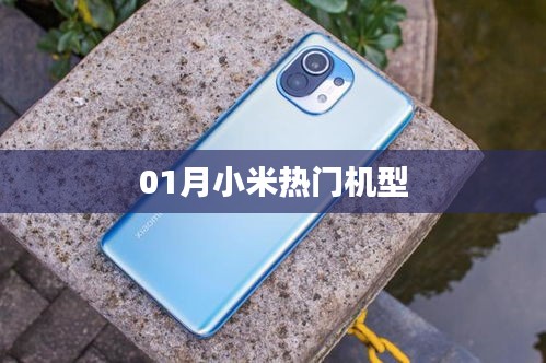 小米熱門機型大盤點，最新熱門機型一網(wǎng)打盡