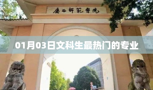 文科生熱門(mén)專(zhuān)業(yè)選擇趨勢(shì)分析，01月03日數(shù)據(jù)解讀