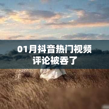 抖音熱門視頻評論被吞事件揭秘