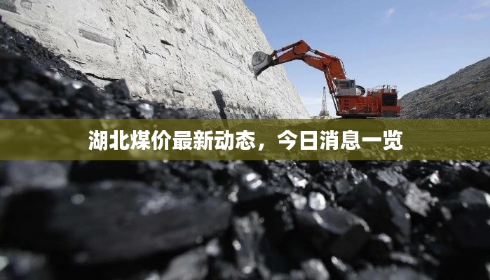 湖北煤價最新動態(tài)，今日消息一覽