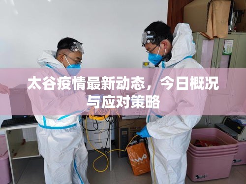 太谷疫情最新動態(tài)，今日概況與應(yīng)對策略