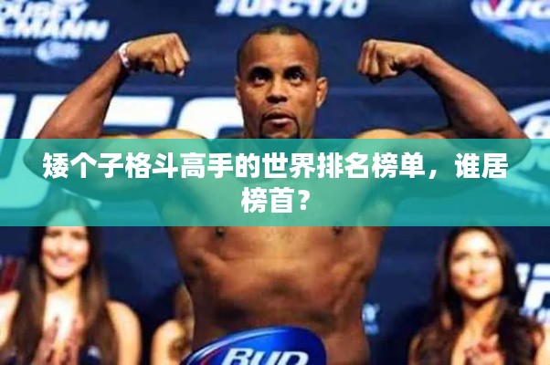 矮個(gè)子格斗高手的世界排名榜單，誰(shuí)居榜首？