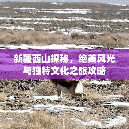 新疆西山探秘，絕美風(fēng)光與獨(dú)特文化之旅攻略