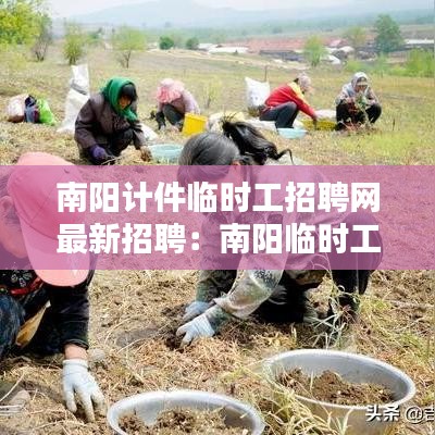 南陽計(jì)件臨時(shí)工招聘網(wǎng)最新招聘：南陽臨時(shí)工日結(jié) 