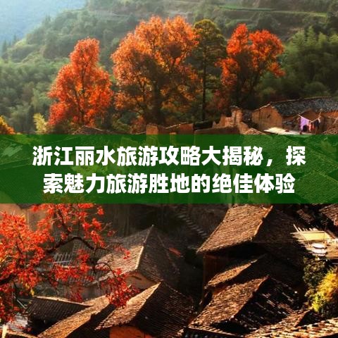 浙江麗水旅游攻略大揭秘，探索魅力旅游勝地的絕佳體驗