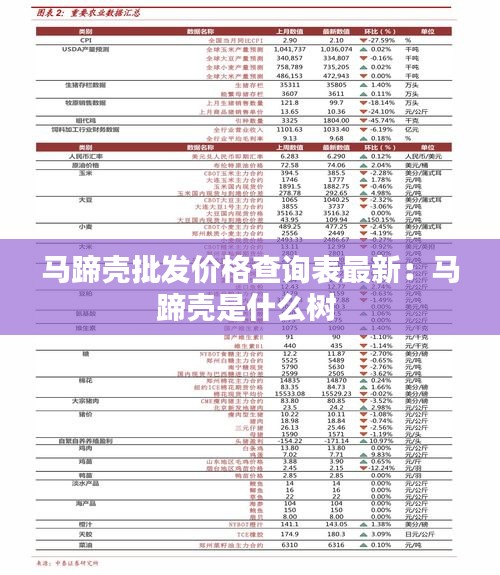 馬蹄殼批發(fā)價格查詢表最新：馬蹄殼是什么樹 