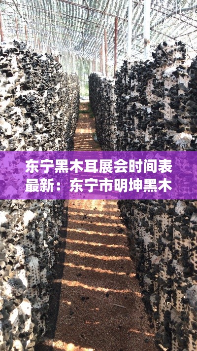 東寧黑木耳展會(huì)時(shí)間表最新：東寧市明坤黑木耳加工廠 