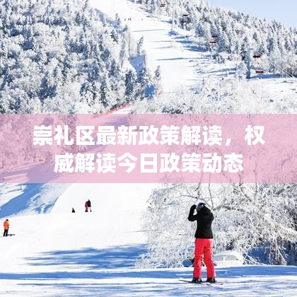崇禮區(qū)最新政策解讀，權(quán)威解讀今日政策動(dòng)態(tài)