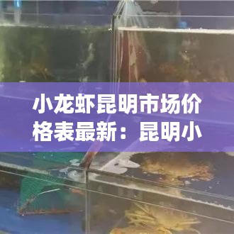 洵屬可貴 第2頁(yè)