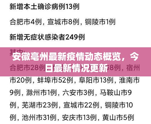 安徽亳州最新疫情動態(tài)概覽，今日最新情況更新