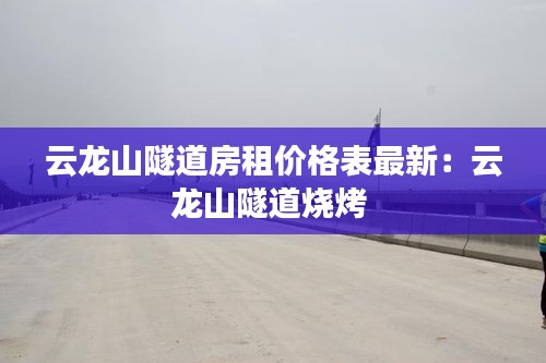 云龍山隧道房租價(jià)格表最新：云龍山隧道燒烤 