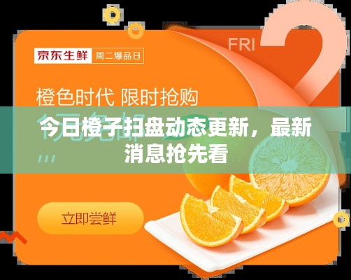 今日橙子掃盤動(dòng)態(tài)更新，最新消息搶先看