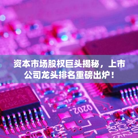 資本市場股權(quán)巨頭揭秘，上市公司龍頭排名重磅出爐！