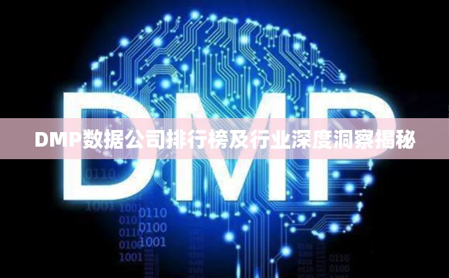 DMP數(shù)據(jù)公司排行榜及行業(yè)深度洞察揭秘