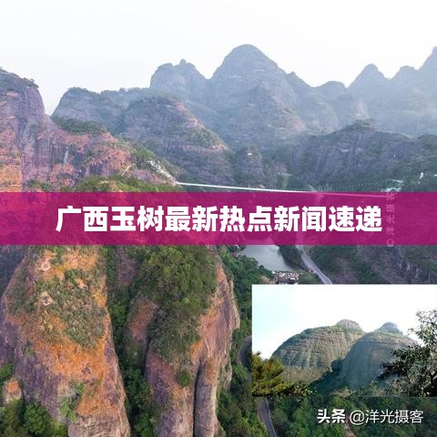 廣西玉樹最新熱點(diǎn)新聞速遞