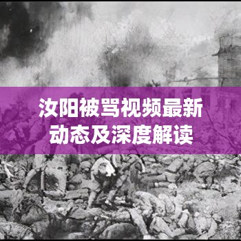 汝陽被罵視頻最新動(dòng)態(tài)及深度解讀