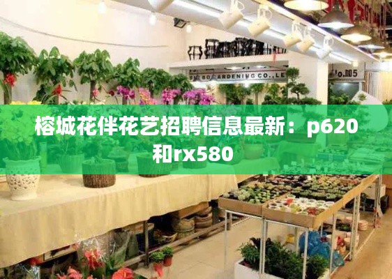 榕城花伴花藝招聘信息最新：p620和rx580 