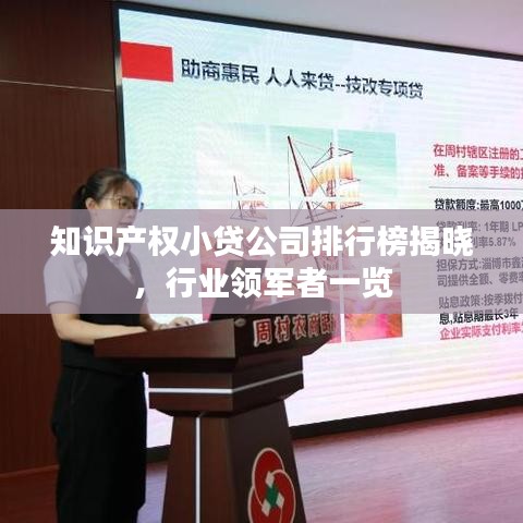 知識產(chǎn)權(quán)小貸公司排行榜揭曉，行業(yè)領(lǐng)軍者一覽