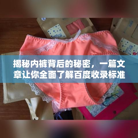 揭秘內(nèi)褲背后的秘密，一篇文章讓你全面了解百度收錄標(biāo)準(zhǔn)下的內(nèi)褲知識