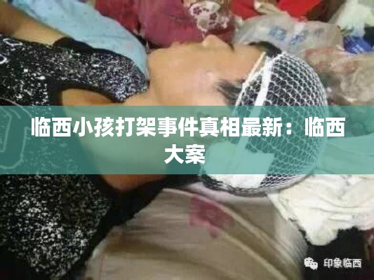 臨西小孩打架事件真相最新：臨西大案 