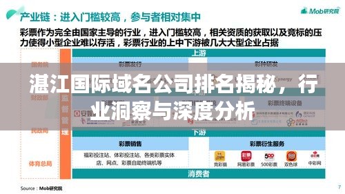 湛江國際域名公司排名揭秘，行業(yè)洞察與深度分析