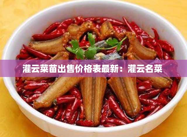 灌云菜苗出售價格表最新：灌云名菜 