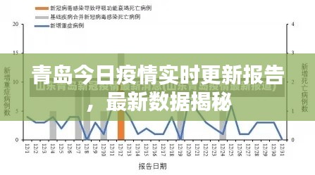 青島今日疫情實(shí)時(shí)更新報(bào)告，最新數(shù)據(jù)揭秘