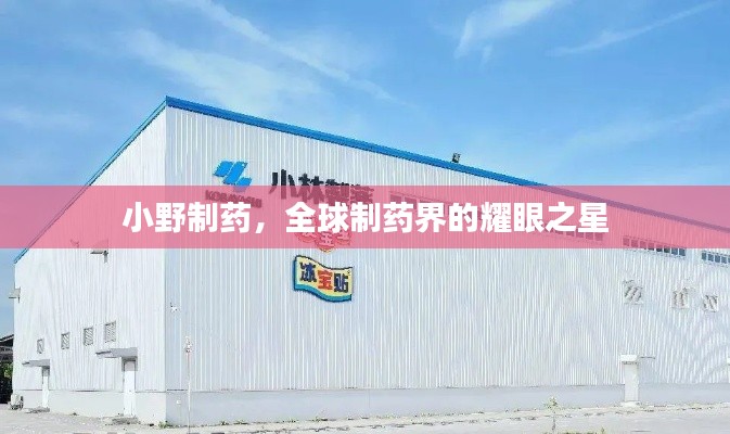 小野制藥，全球制藥界的耀眼之星