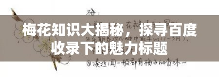 梅花知識大揭秘，探尋百度收錄下的魅力標題