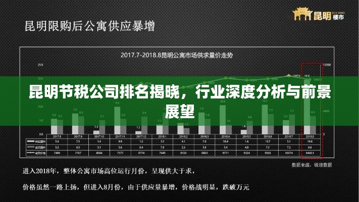 昆明節(jié)稅公司排名揭曉，行業(yè)深度分析與前景展望