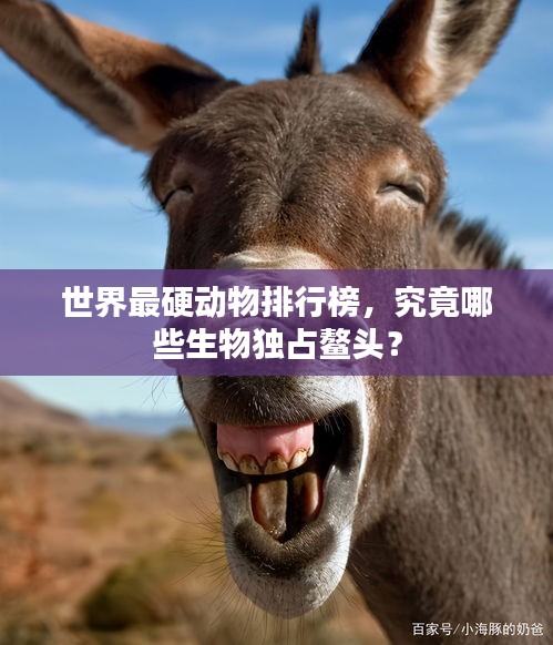 世界最硬動(dòng)物排行榜，究竟哪些生物獨(dú)占鰲頭？